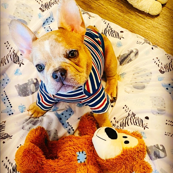 Meet your Posher, Mandy - Picture 1 of 1